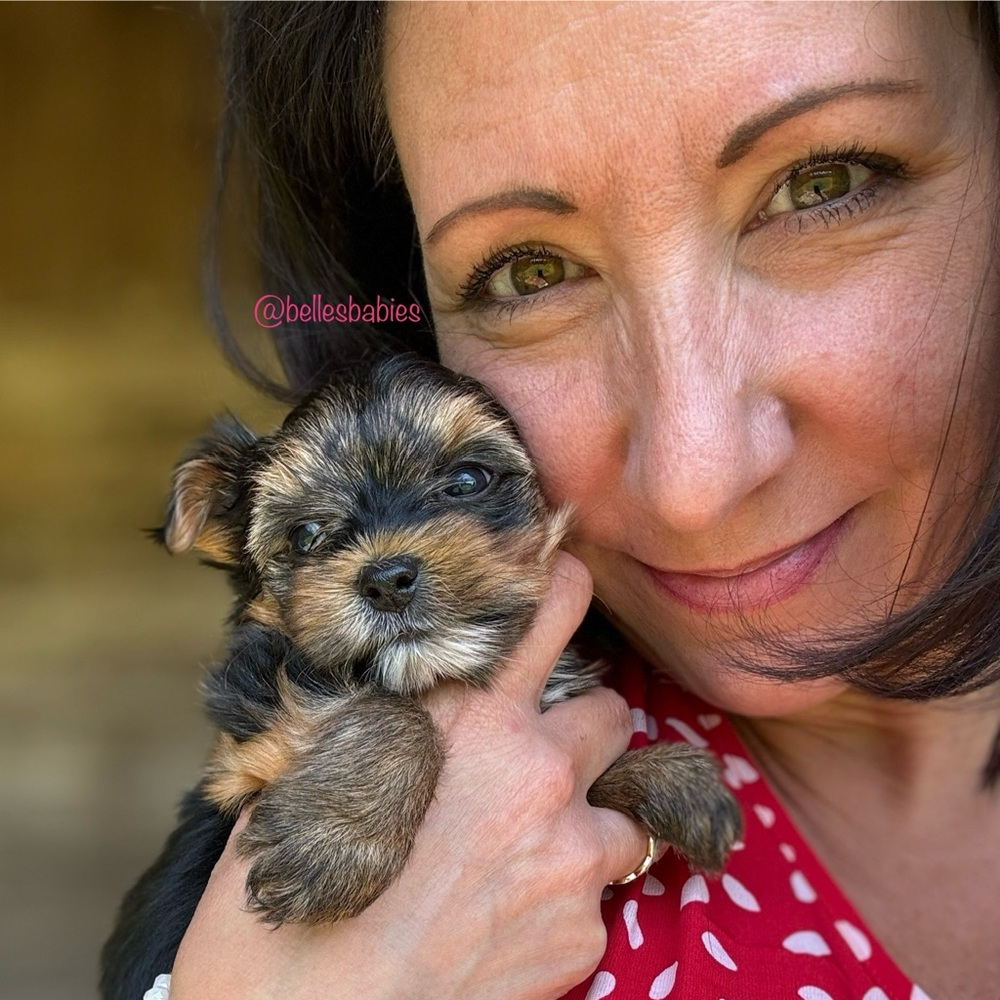 Meet your Posher, Lisa